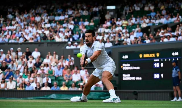 开云体育-德约科维奇在比赛中受伤退赛，海港主帅表示担忧的简单介绍